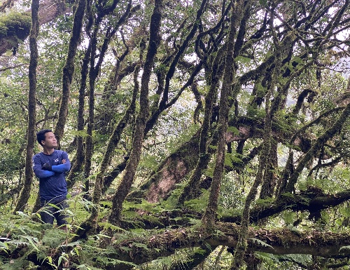 Trekking - Tà Chì Nhù, Yên Bái