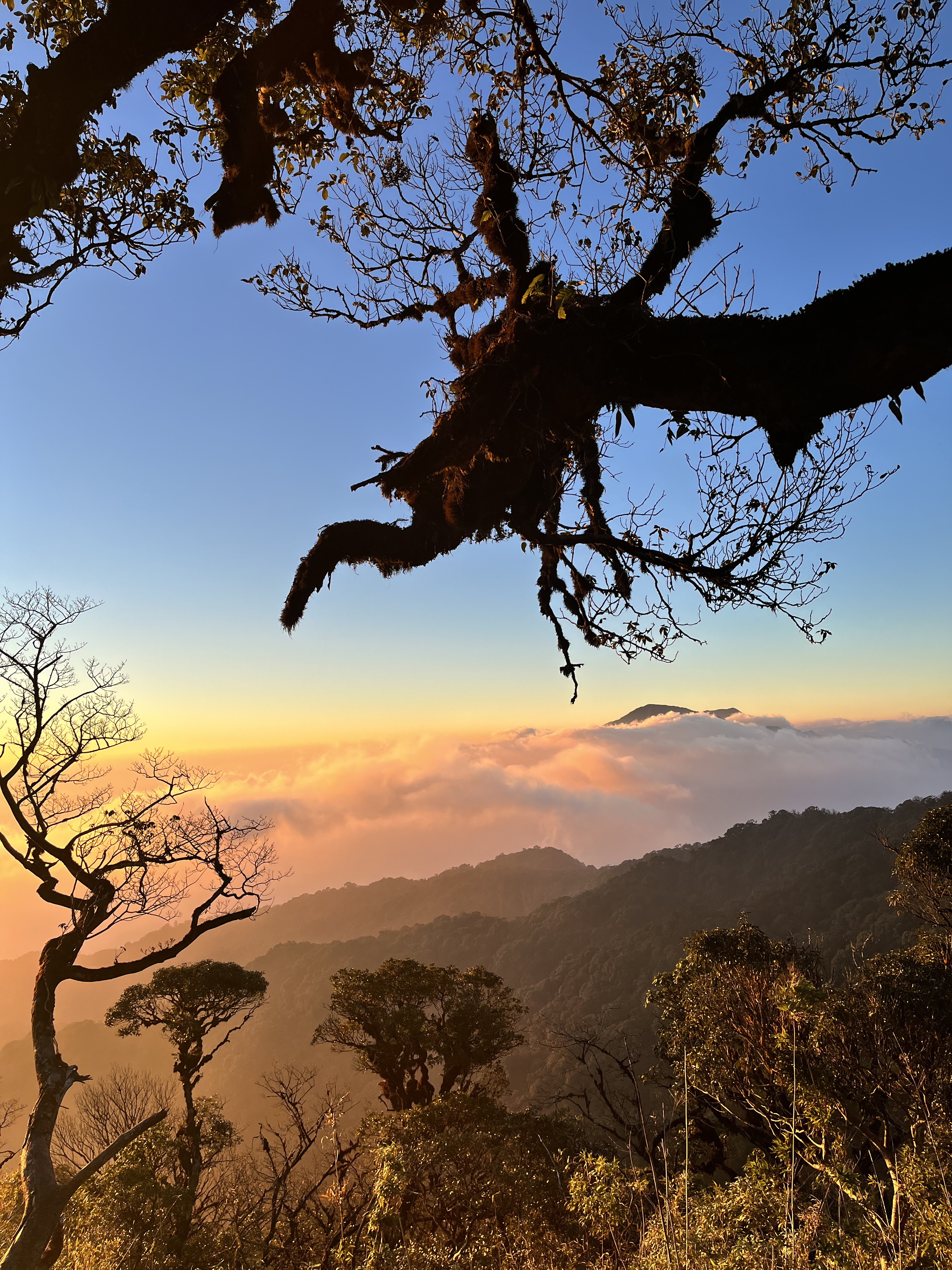 Trekking - SAMU lần 2, không còn mảnh ký ức nào trong đầu